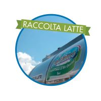 Raccolta Latte