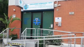 clinica veterinaria bari AMBULATORIO VETERINARIO ARTÙ