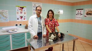 clinica veterinaria bari Clinica Veterinaria Città di Bari - Rep. 24h