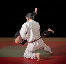 scuola di judo bologna Ju Jitsu Dojo Bologna