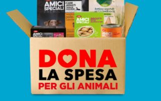 agenzia per le adozioni bologna Oasi Felina di Pianoro