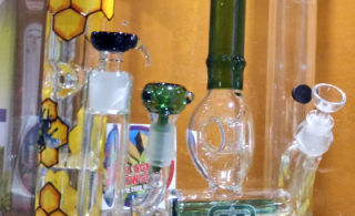 negozio di articoli per il giardinaggio bologna Bologna Growshop Headshop Seedsshop Canapa shop