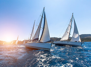 charter di pesca bologna Circolo della vela Compagnia Naviganti