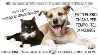 house sitter bologna Dog sitter Bologna ★★★★★