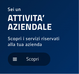 Pronto intervento aziende - idraulica, caldaie e condizionamento