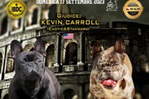 allevatore di bestiame bologna Middle Central Kennel Club Of Italy Bologna