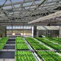 negozio di articoli per il giardinaggio bologna Idroponica Grow Shop Bologna