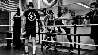 scuola di kickboxing bologna Boxing Club Bologna