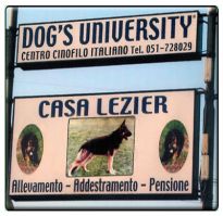 addestratore di cani bologna Dog'S University Snc