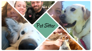 pensione per animali domestici firenze Pet Sitter Firenze e Dintorni