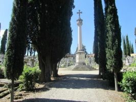 cimitero degli animali firenze Cimitero Evangelico agli Allori