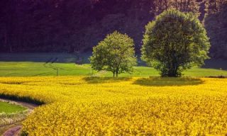 CONCORSO PER L’AMMISSIONE AL CORSO DI DOTTORATO DI RICERCA.