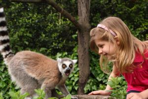 parco zoologico firenze Giardino Zoologico di Pistoia