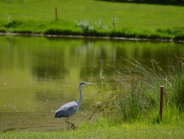 country club firenze Golf Club Parco Di Firenze