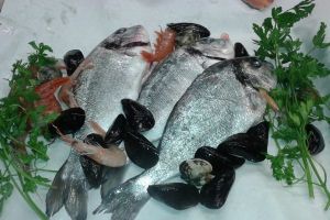 mercato del pesce genova Pescheria Luigi Stoffa