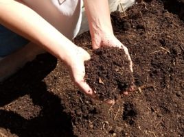 organizzazione agricola messina Villarè sulla Panoramica