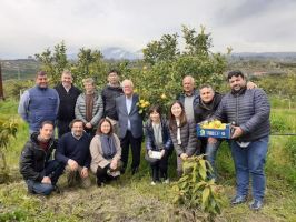 Nuovi accordi di filiera per la promozione del succo di “Limone dell’Etna IGP”