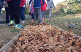 organizzazione agricola messina Villarè sulla Panoramica