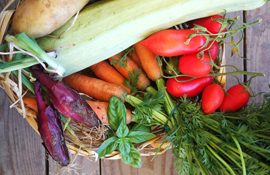 azienda agricola biologica messina Villarè al Mercato Coperto Muricello