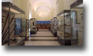 Sala espositiva del Museo di Antropologia.