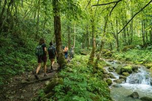 consulente ambientale padova Etifor S.r.l. Società Benefit