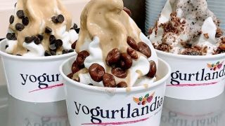 creperia palermo Yogurtlandia