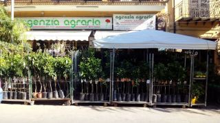 negozio di articoli per il giardinaggio palermo Agenzia Agraria Gioè