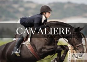 scuderia palermo Selleria Élite del Cavallo