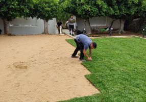 giardiniere palermo A.M.A. Servizi di Giardinaggio-Abbattimento Alberi-Giardiniere Palermo