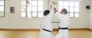 scuola di kung fu torino Dojo Miura Torino