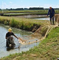 allevamento ittico torino Azienda Agricola Mosso Cascina Italia