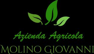 negozio di prodotti agricoli torino Azienda Agricola Molino Giovanni