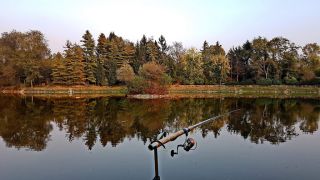 riserva di pesca torino Parco Naturale Lago Dei Pini