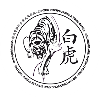 scuola di kung fu venezia Shaolin Italia - Centro Internazionale Tigre Bianca