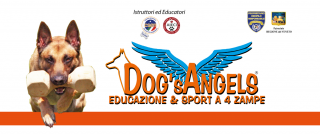 dog sitter venezia Centro Cinofilo Dog's Angels