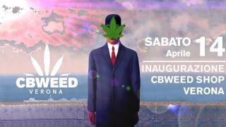 negozio di cannabis verona Cbweed Shop CANNABIS LIGHT CBD - Verona