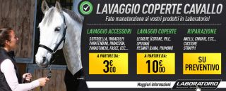 Servizio lavaggio coperte cavallo