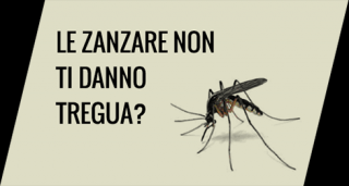 servizio di disinfestazione verona Vedovi Disinfestazioni