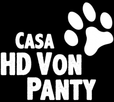 allevatore di gatti verona Allevamento Casa HD Von Panty